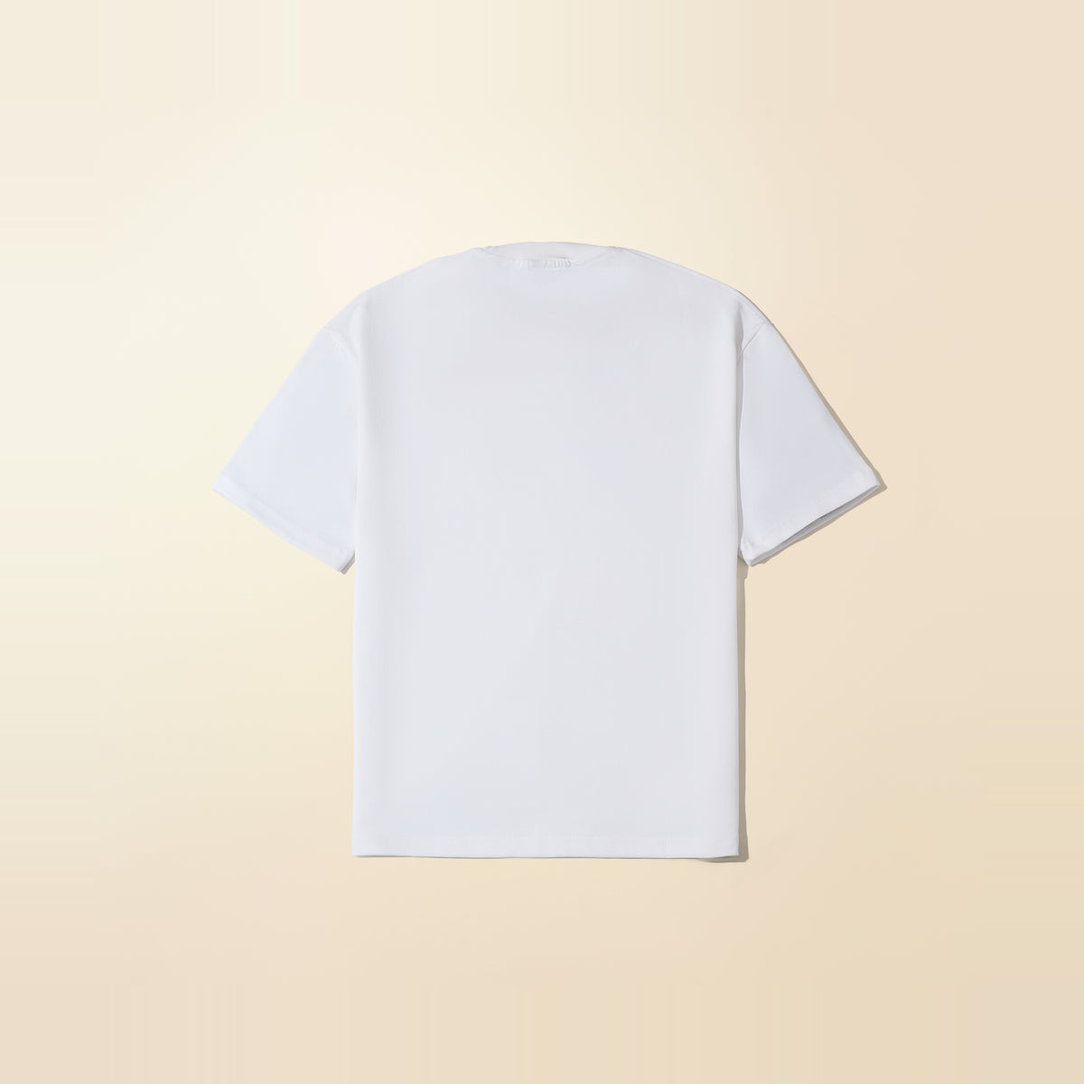 LNX Everyday Tee in White, back view, flat lay product photo