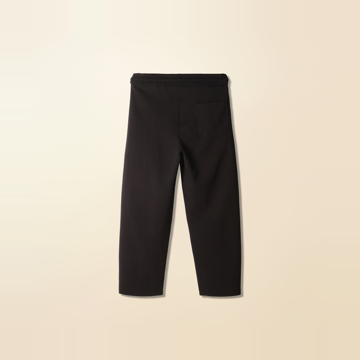 LNX Pleated Wide Pant in Black, back view, flat lay product photo