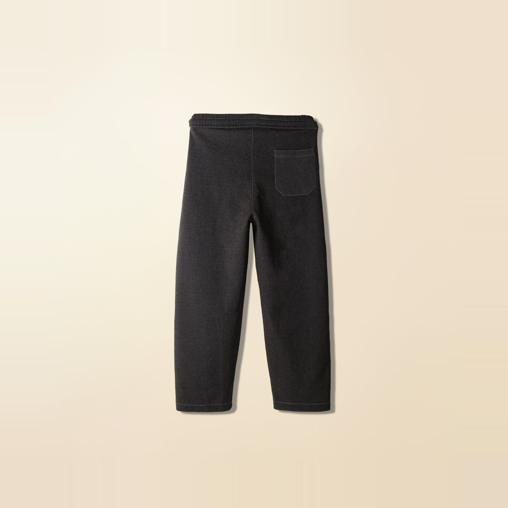 LNX Pleated Wide Pant in Washed Charcoal, back view, flat lay product photo